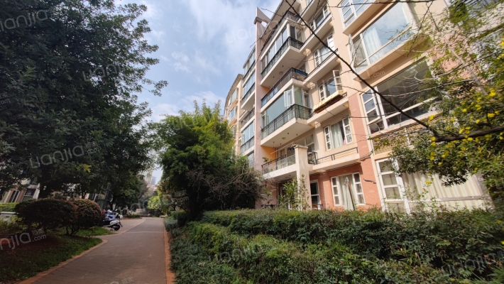 国际花园外景图