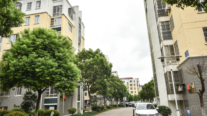 蔡尖花园外景图