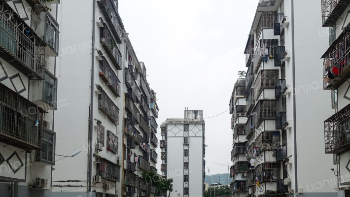 靖轩花园外景图