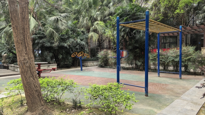 紫金乐章外景图