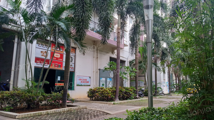 湖畔人家外景图