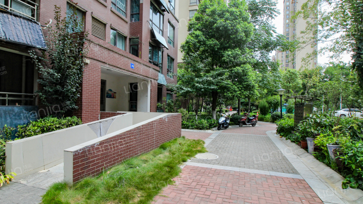 龙堤·滨江园外景图