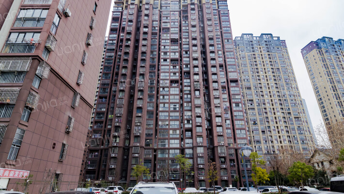 天鹅花园外景图