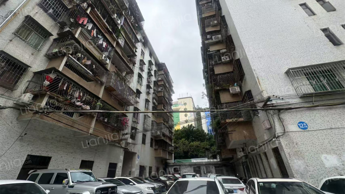 竹树山庄外景图