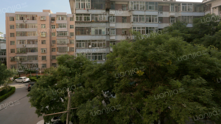 牟家庄高层小区外景图
