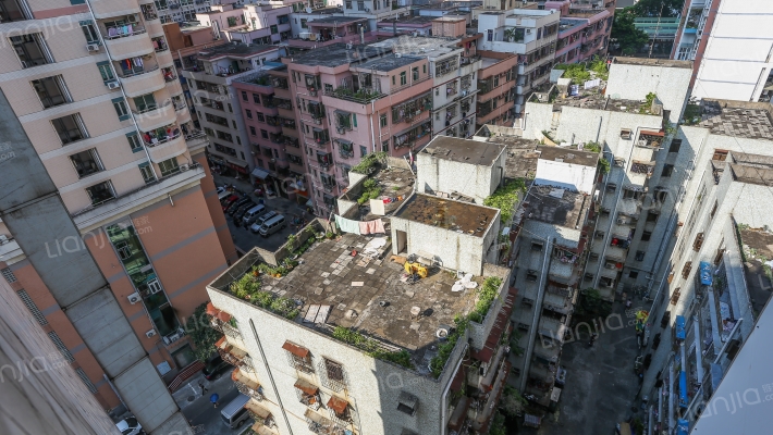 AB栋大院外景图