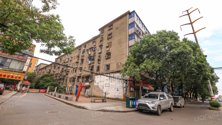 迎宾大道313号外景图