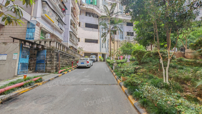 千竹景苑外景图