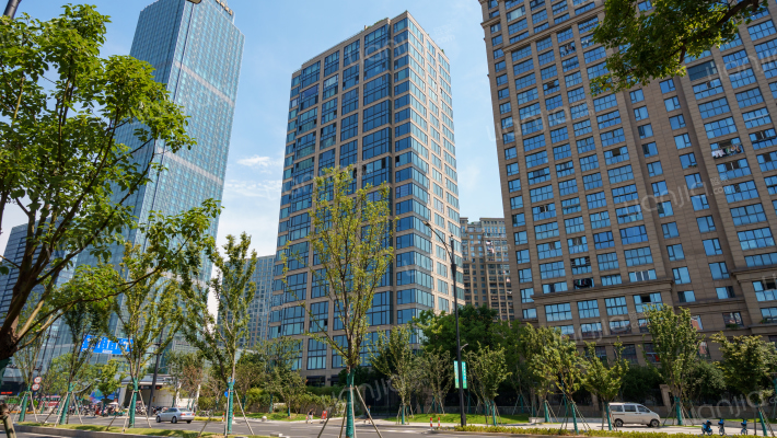 金色黎明外景图