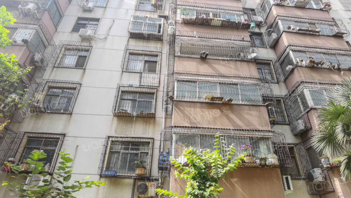 河南省郑州种畜场住宅楼外景图