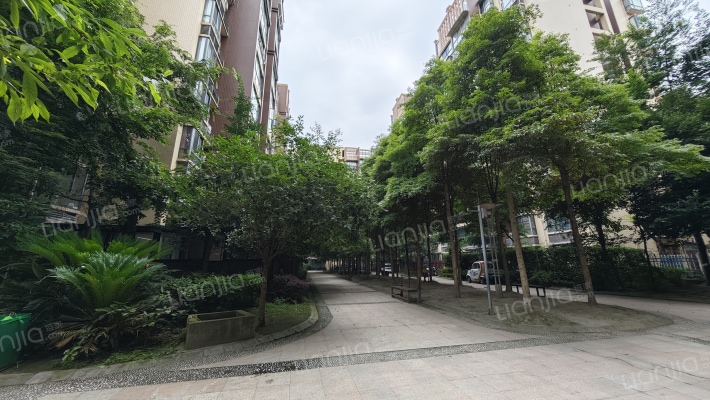 锦上清苑外景图