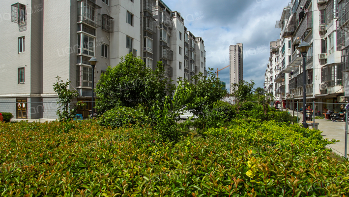 金霞南苑北区外景图