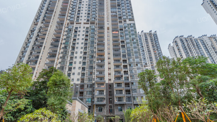 大唐世家二区外景图