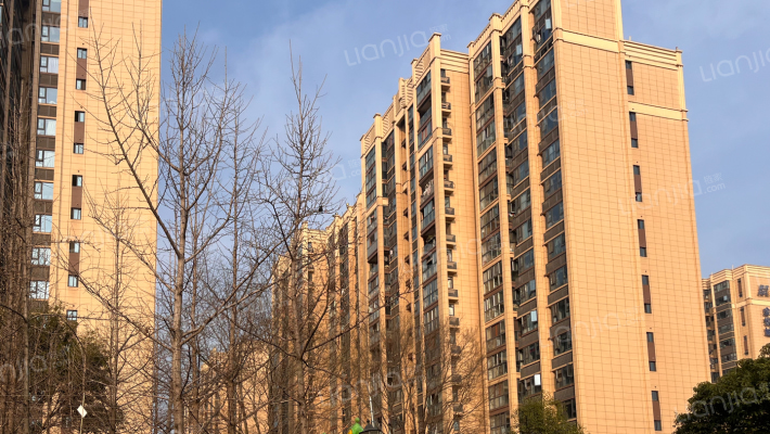 蓝光金悦城外景图