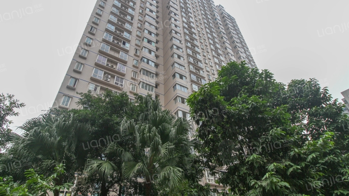 滨江大厦外景图