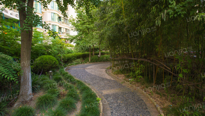 珠江香樟园外景图