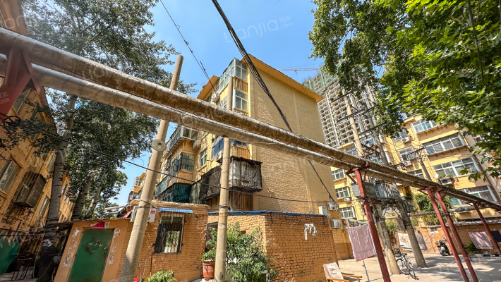 和平路442号轴承厂家属院外景图