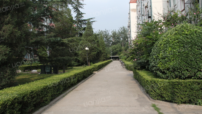 厂洼甲5号院外景图