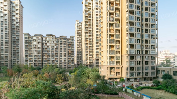 新芒果蓝湾国际外景图