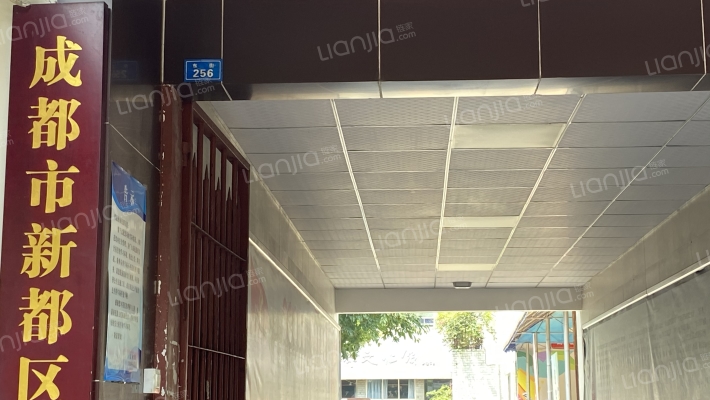 东街256号外景图