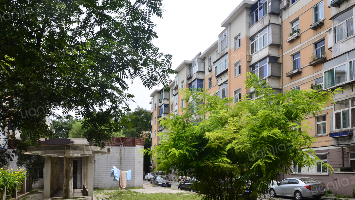 太钢102小区外景图