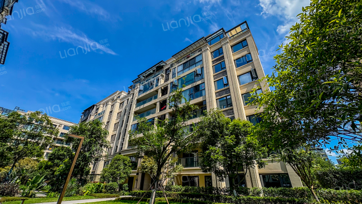 金科新天宸外景图