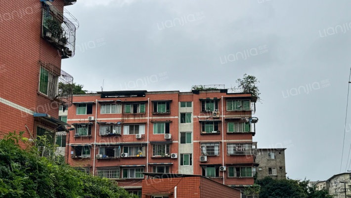 政府教师楼外景图