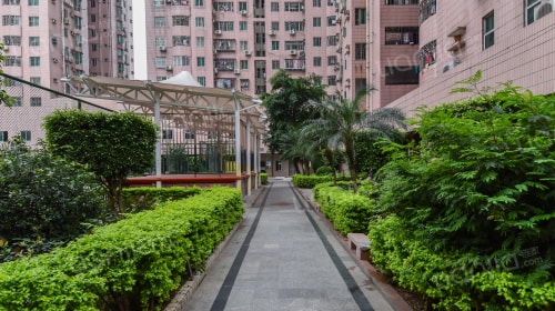 龙珠花园(布吉)