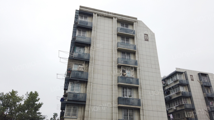 龙蟠中路外景图