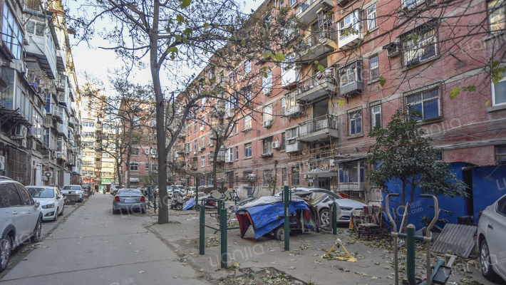 郑棉三厂家属院外景图
