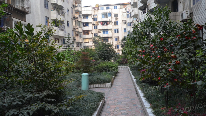 棕北公寓外景图