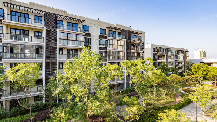 世合理想大地至真里外景图