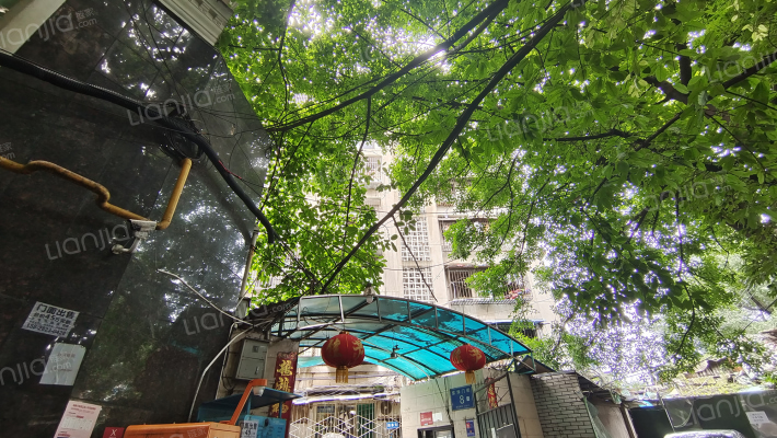 东华门街8号外景图