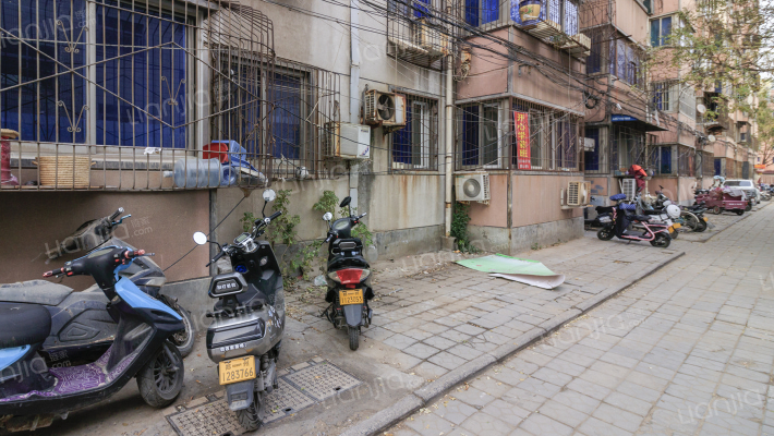 农科路小学家属院外景图