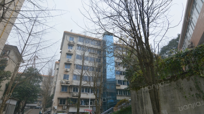 高家坪小区外景图