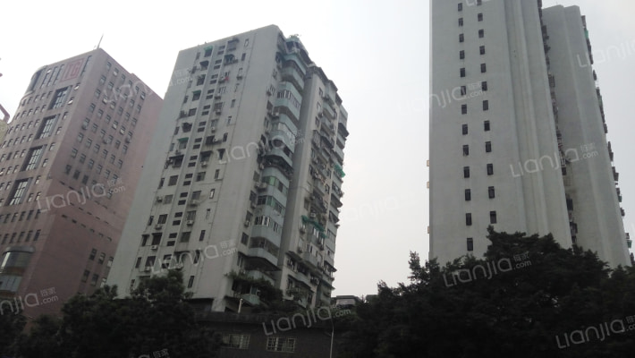 越秀花苑大厦外景图