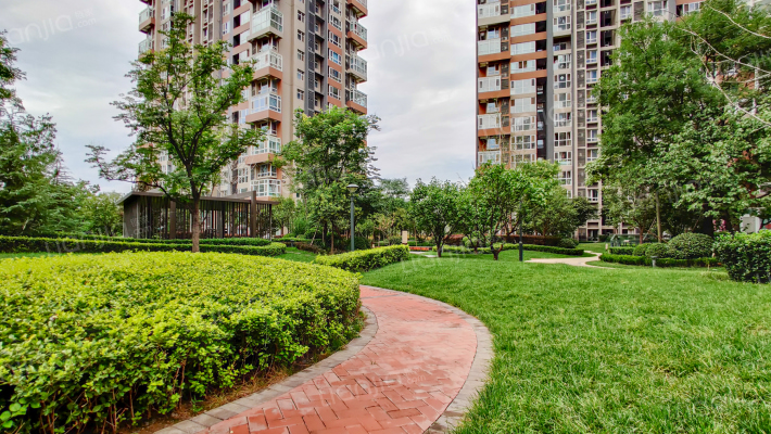 御锦城理想树外景图