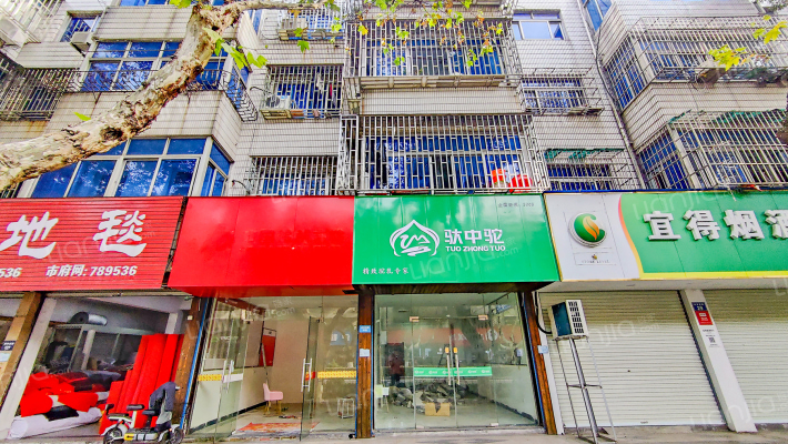 庆丰北路19号外景图