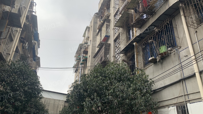 西大街290号外景图