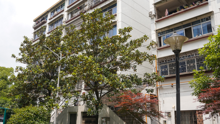 中南二村外景图