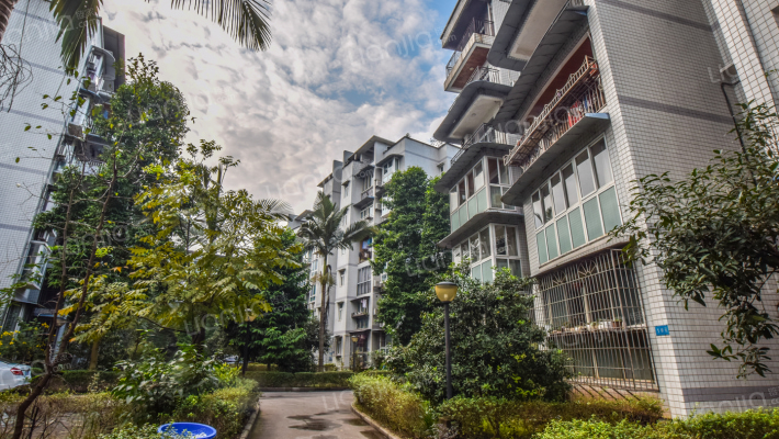 橘苑小区外景图