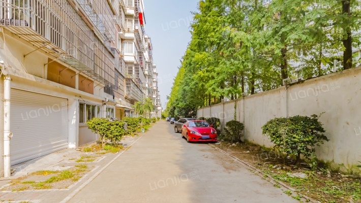 泰河康园西区外景图