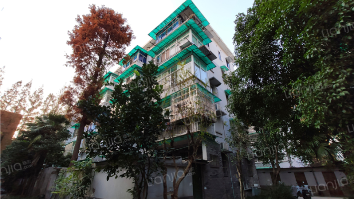 花园北村1212宿舍外景图