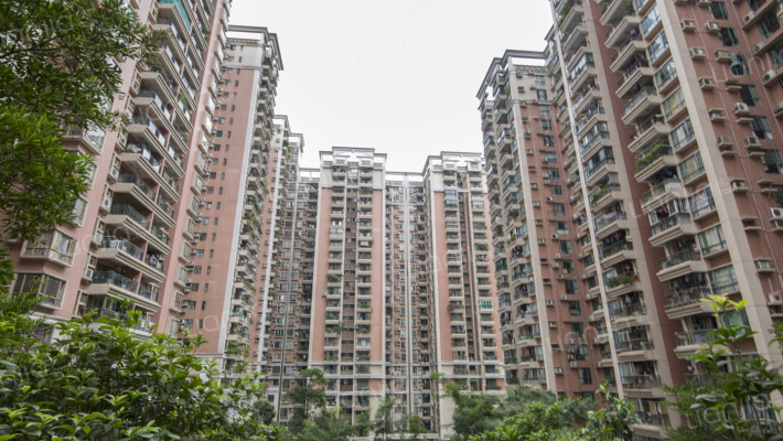 富力广场S区外景图