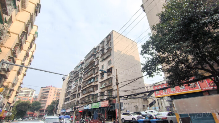 育才路1号外景图