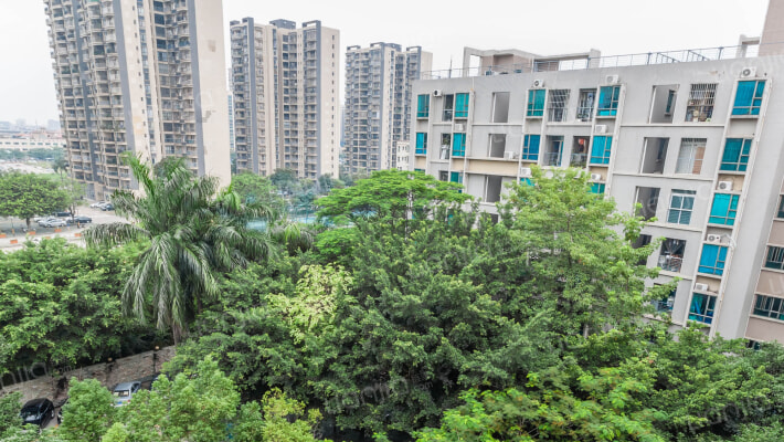 金钻华庭外景图