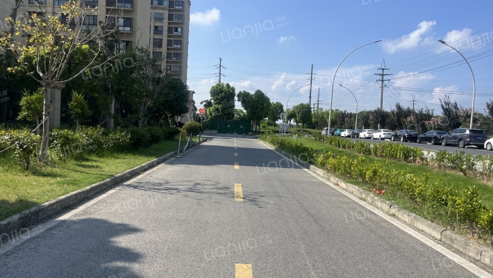 莲花休闲广场外景图