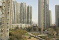 方圆经纬社区4