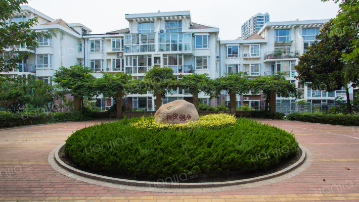 桐安雅居外景图