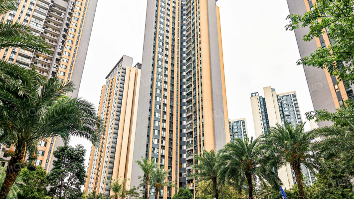 佳兆业金御雅园外景图